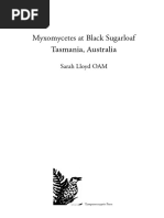 Attēlu rezultāti vaicājumam “Diderma subincarnatum”