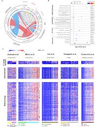 Attēlu rezultāti vaicājumam “Diderma cingulatum plasmodium”