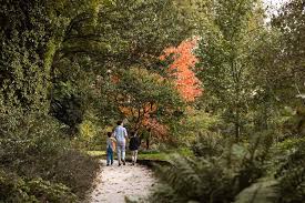 Image result for Arboretum Trompenburg