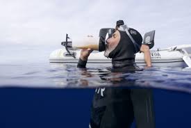 Image result for Discover Swimming