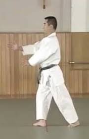 Image result for Goryukai Aikido Yoshinkan (Chichester)