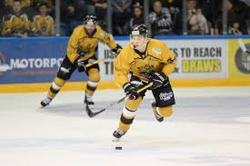 Image result for Swindon Panthers