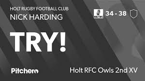 Image result for Holt R F C