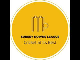 Image result for Salfords Cricket Club