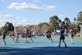 Image result for Dominos Netball Club