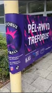 Image result for Treforus Netball Club