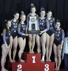 Image result for Hinckley Gymnastics Club