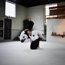 Image result for Tora Dojo