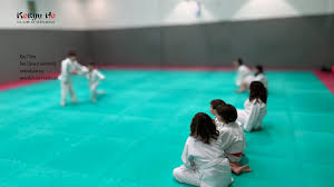 Image result for Kokyu Aikido Association