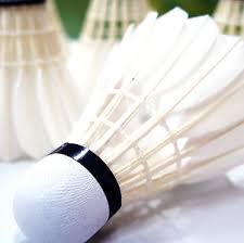 Image result for Highwoods Badminton Club