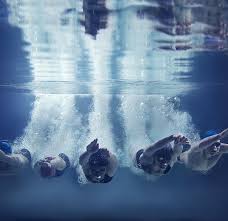 Image result for Cults Otters Amateur Swimming Club