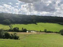 Image result for Row Brow Field Archery