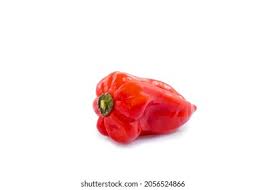 Afbeeldingsresultaat voor mme jeanette hot pepper