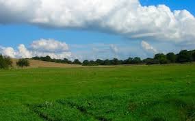 Image result for West Chiltington & Thakeham Cc