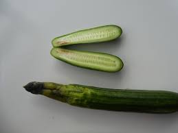 Attēlu rezultāti vaicājumam “Diderma umbilicatum stalked”