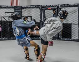 Image result for Vipers Thai/Kickboxing School