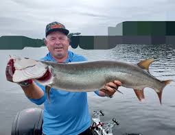 Image result for Esox masquinongy