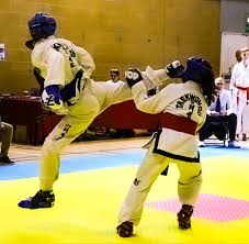 Image result for Wantage TAGB Tae Kwon-Do