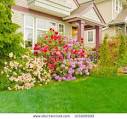 Side Yard Stock Photos, Side Yard Stock Photography, Side Yard ...