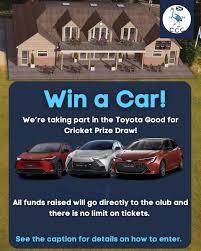 Image result for Cranleigh St Andrews Cricket Club