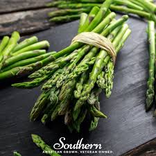Attēlu rezultāti vaicājumam “Asparagus officinalis”