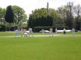Image result for Old Wilsonians Cricket Club