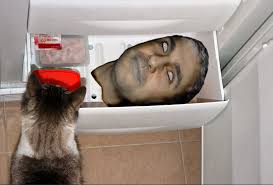 Image result for 241543903