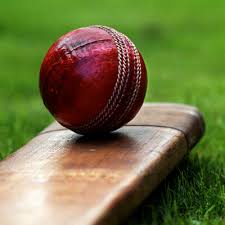 Image result for Oxshott Village Cricket Club