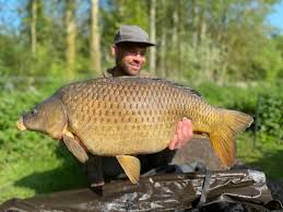 Image result for Weybridge Angling