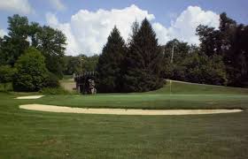 Image result for Rylands Cc