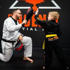 Image result for Phoenix Martial Arts