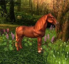 Image result for chestnut friesian