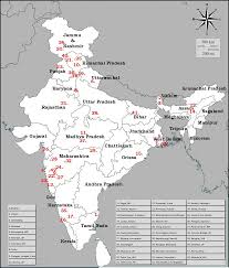 Attēlu rezultāti vaicājumam “Licea testudinacea plasmodium”