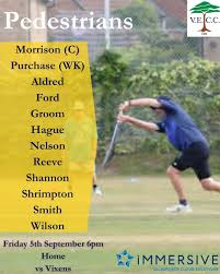 Image result for Valley End Cricket Club