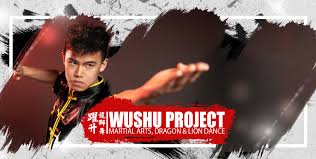Image result for Dragon Wushu Club