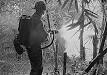 Flamethrower - Wikipedia, the free encyclopedia