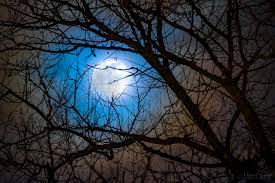 Attēlu rezultāti vaicājumam “Lunar corona”