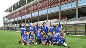 Image result for Sarsfields Hurling Club