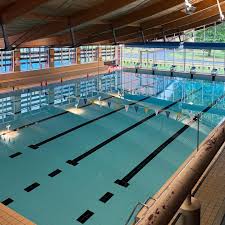 Image result for Stortford Divers