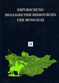 Attēlu rezultāti vaicājumam “Belbodamaeus sp.”
