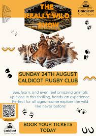 Image result for Caldicot Junior  & Mini Rugby Club