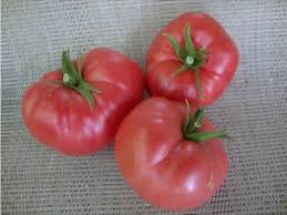 Afbeeldingsresultaat voor mortgage lifter bicolor strain tomato