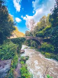 Image result for Jesmond Dene Badminton Club