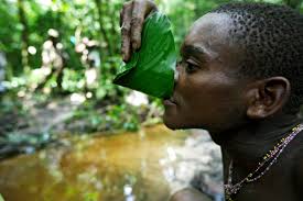 Risultati immagini per privazione della pheega