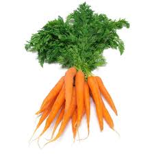 Image result for Möhren