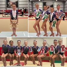 Image result for South Essex Gymnastics Club