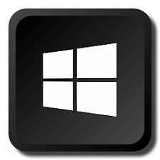 Image result for Windows key