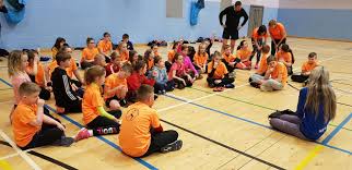 Image result for Wee County Harriers
