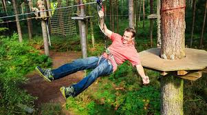 Image result for Go Ape! Moors Valley