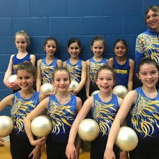 Image result for Fenton Manor Netball Club